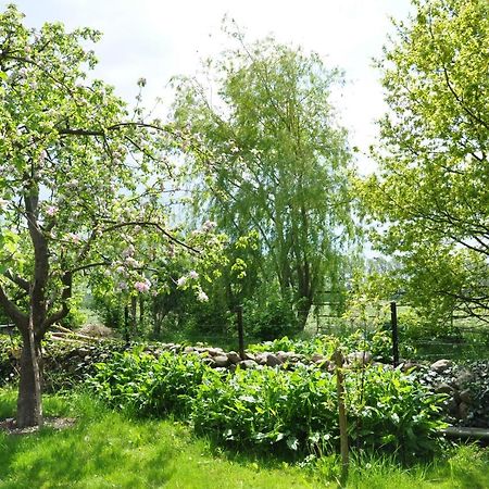 Sommerferienhaus Ostseebad Nienhagen Bagian luar foto